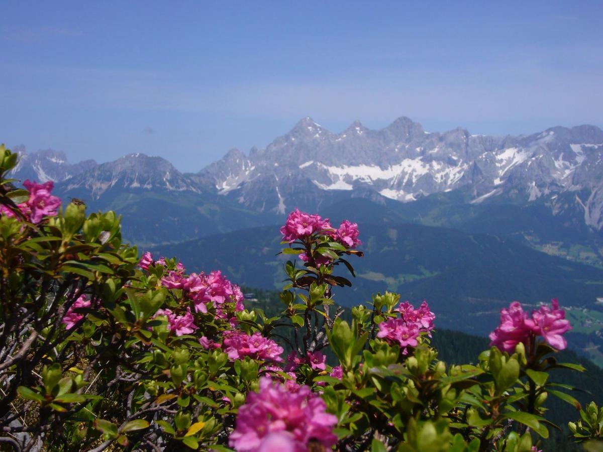 Appartements Wiesbach Ramsau am Dachstein Ngoại thất bức ảnh