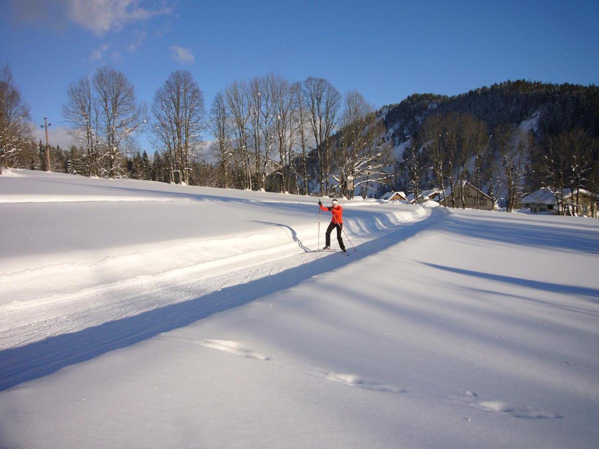 Appartements Wiesbach Ramsau am Dachstein Ngoại thất bức ảnh