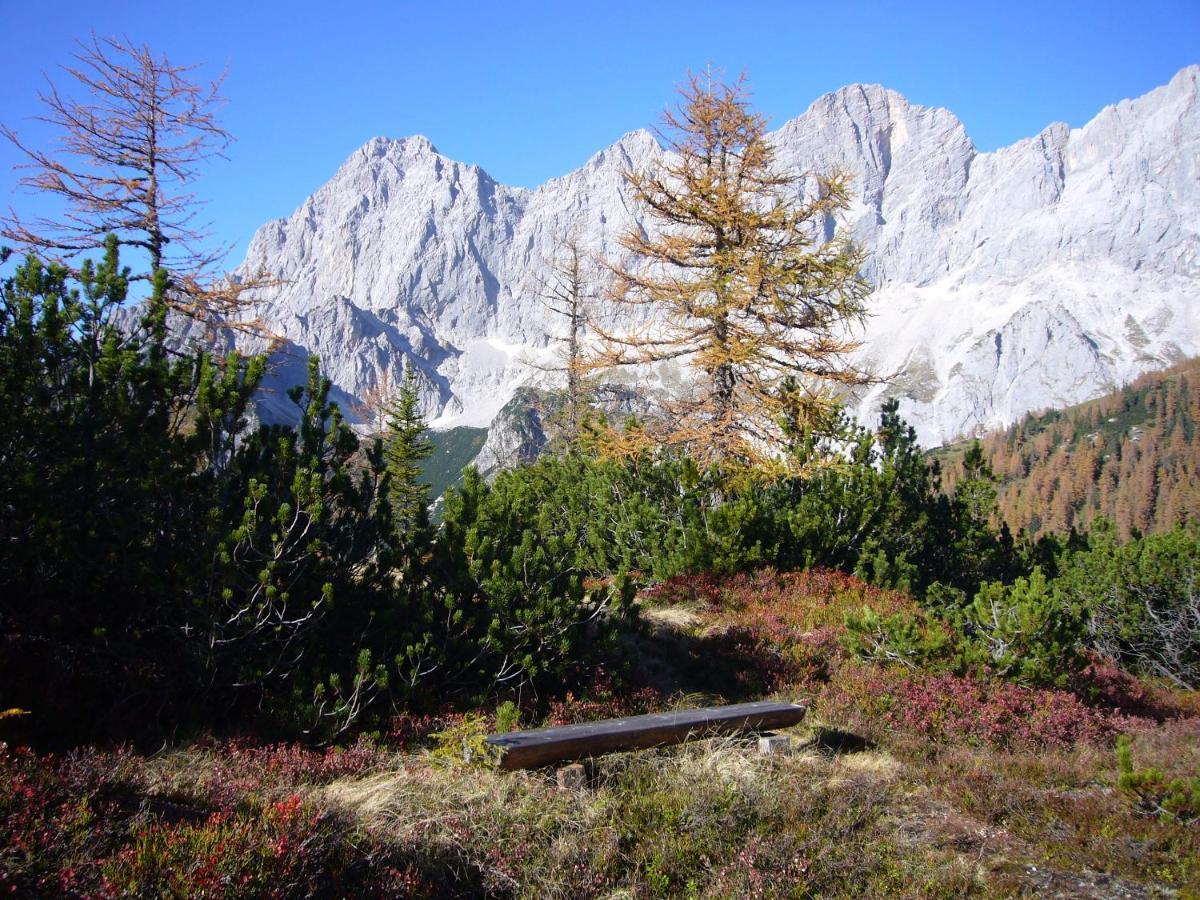 Appartements Wiesbach Ramsau am Dachstein Ngoại thất bức ảnh